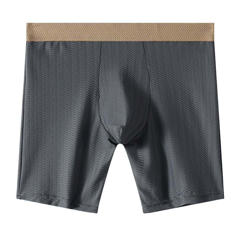 Mens Boxer Shorts Homme Nylon  - Long Leg Trunk Men recensie en prijs
