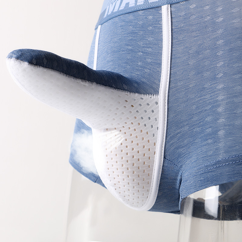 Men's Ice Silk Boxer Briefs, B - Mesh Sport Boxer recensie en prijs