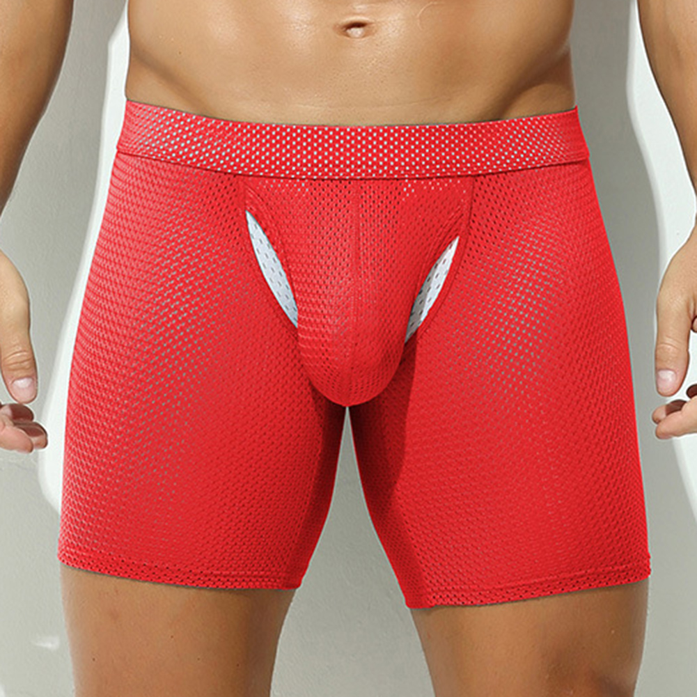 Sexy Lingerie Mens Mesh Underw - Long Leg Trunk Men recensie en prijs
