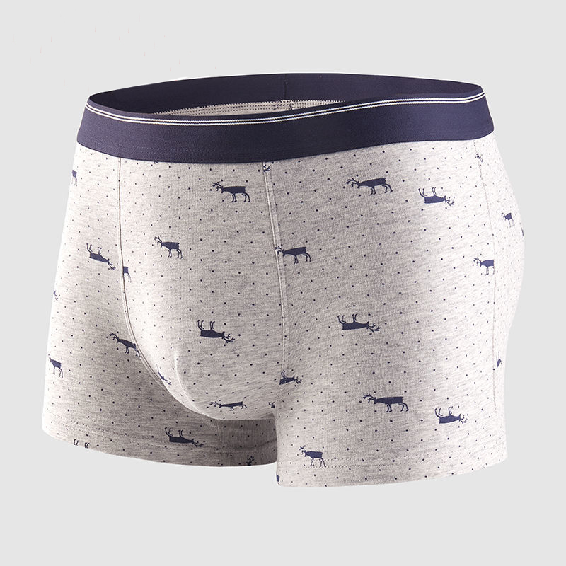 4pcs Men's Panties Sexy Shorts - Boxer Brief Pack Cotton recensie en prijs