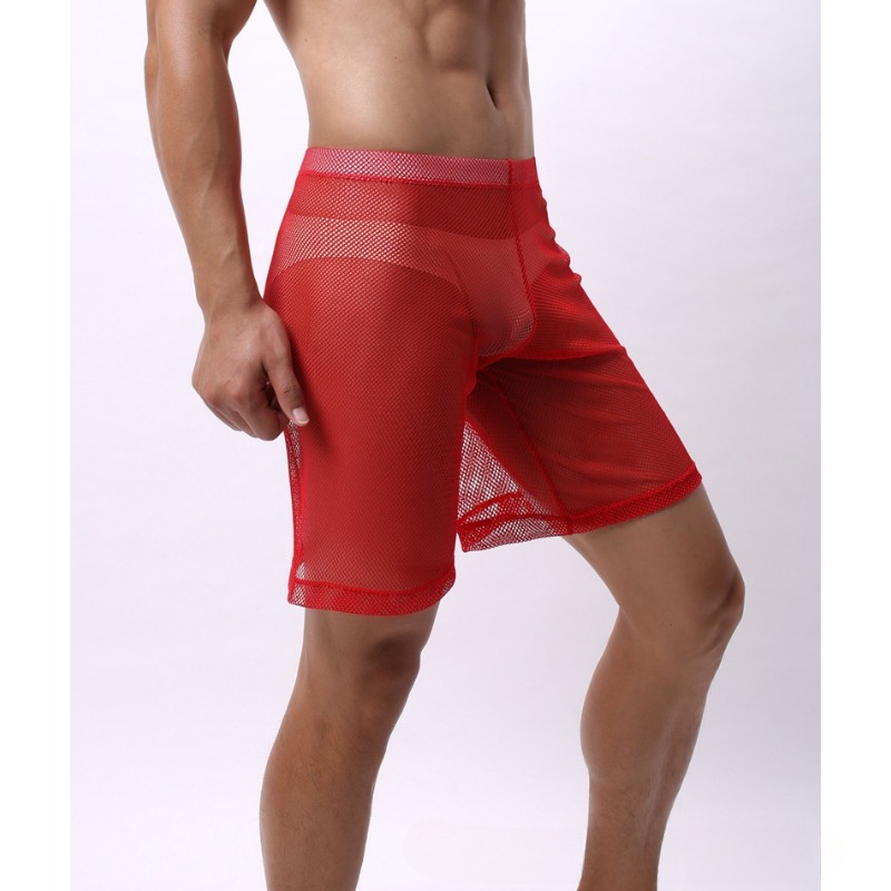 Low Rise Mesh Erotic Underwear - Pouch Boxer Pouch recensie en prijs