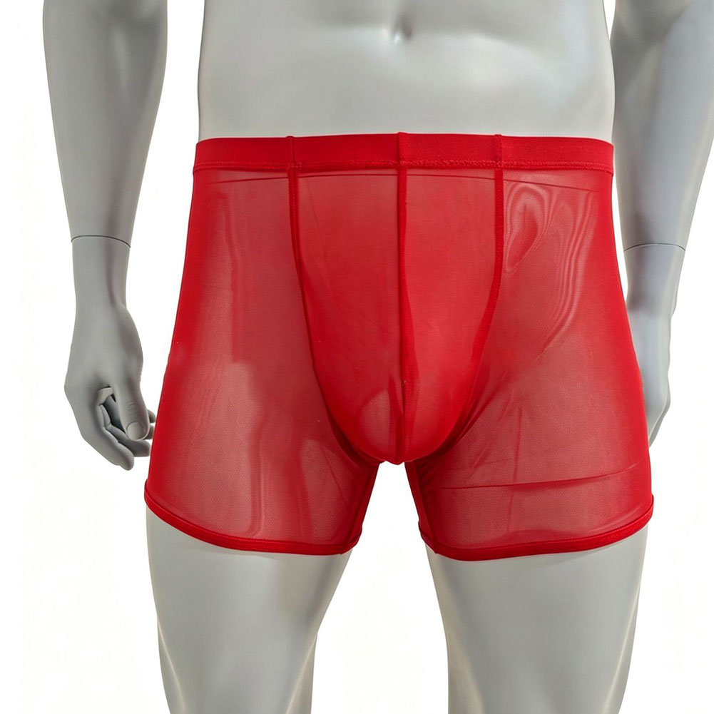 Men Mesh See-through Ultra-thi - Long Leg Trunk Men recensie en prijs