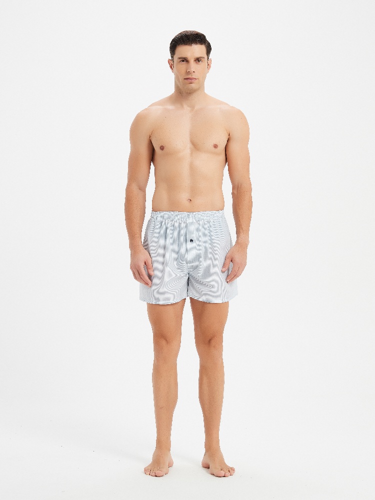 10pcs Men's Underwear Spring/S - Boxer Brief Pack Cotton recensie en prijs