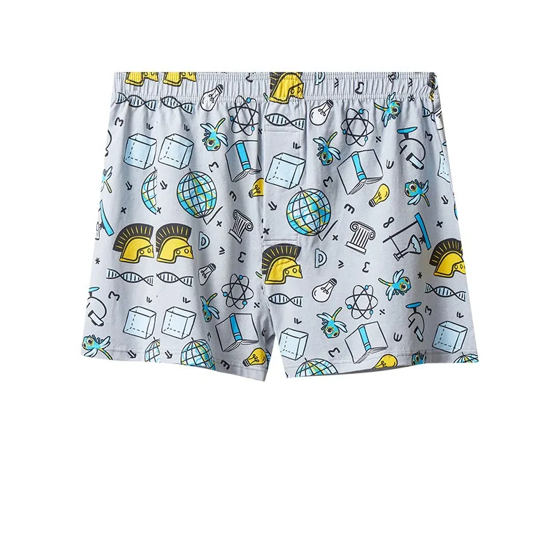Mens Boxers Cotton Aro Pants S - Boxer Brief Pack Cotton recensie en prijs